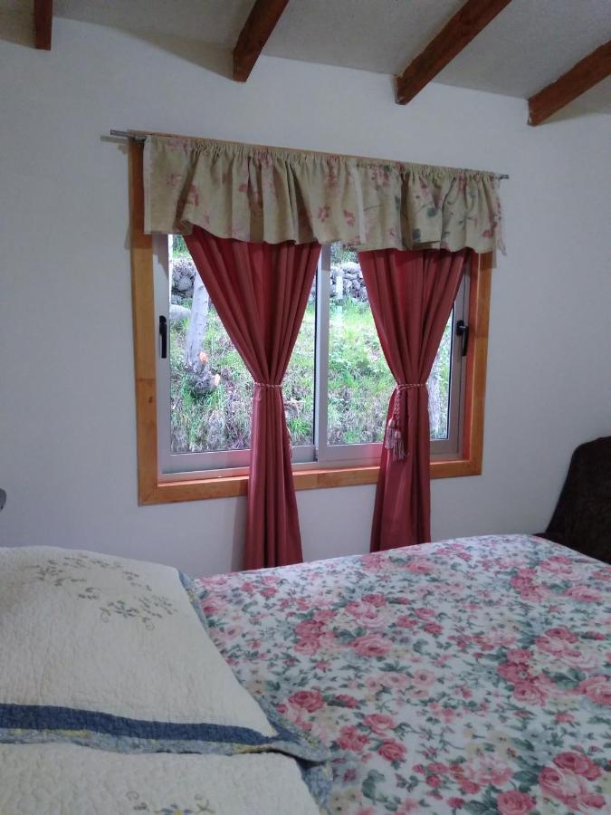 Flor/Victoria Bed & Breakfast Villarrica Exterior photo